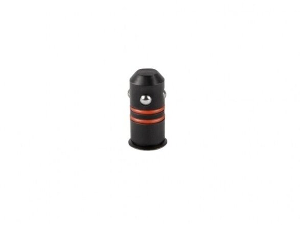Spartus greito montavimo kaištis su įgilinta galvute, sistema D16x24mm